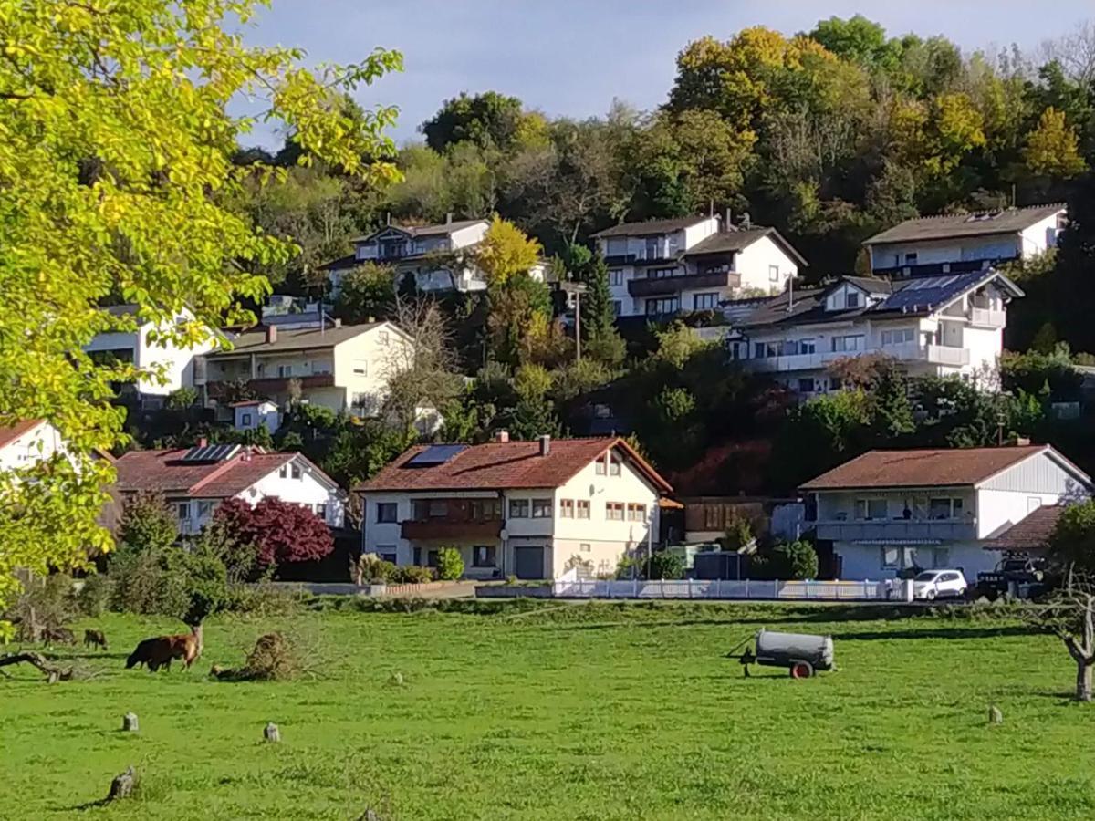 Wutoschingen Blick Ins Wutachtal 아파트 외부 사진