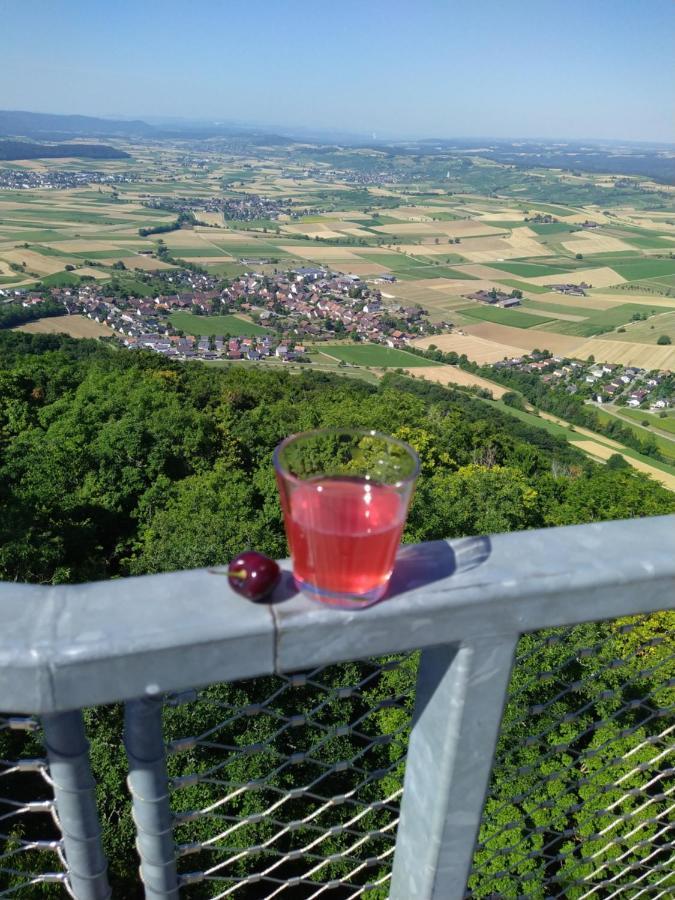 Wutoschingen Blick Ins Wutachtal 아파트 외부 사진