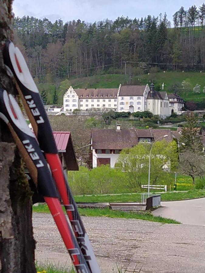 Wutoschingen Blick Ins Wutachtal 아파트 외부 사진