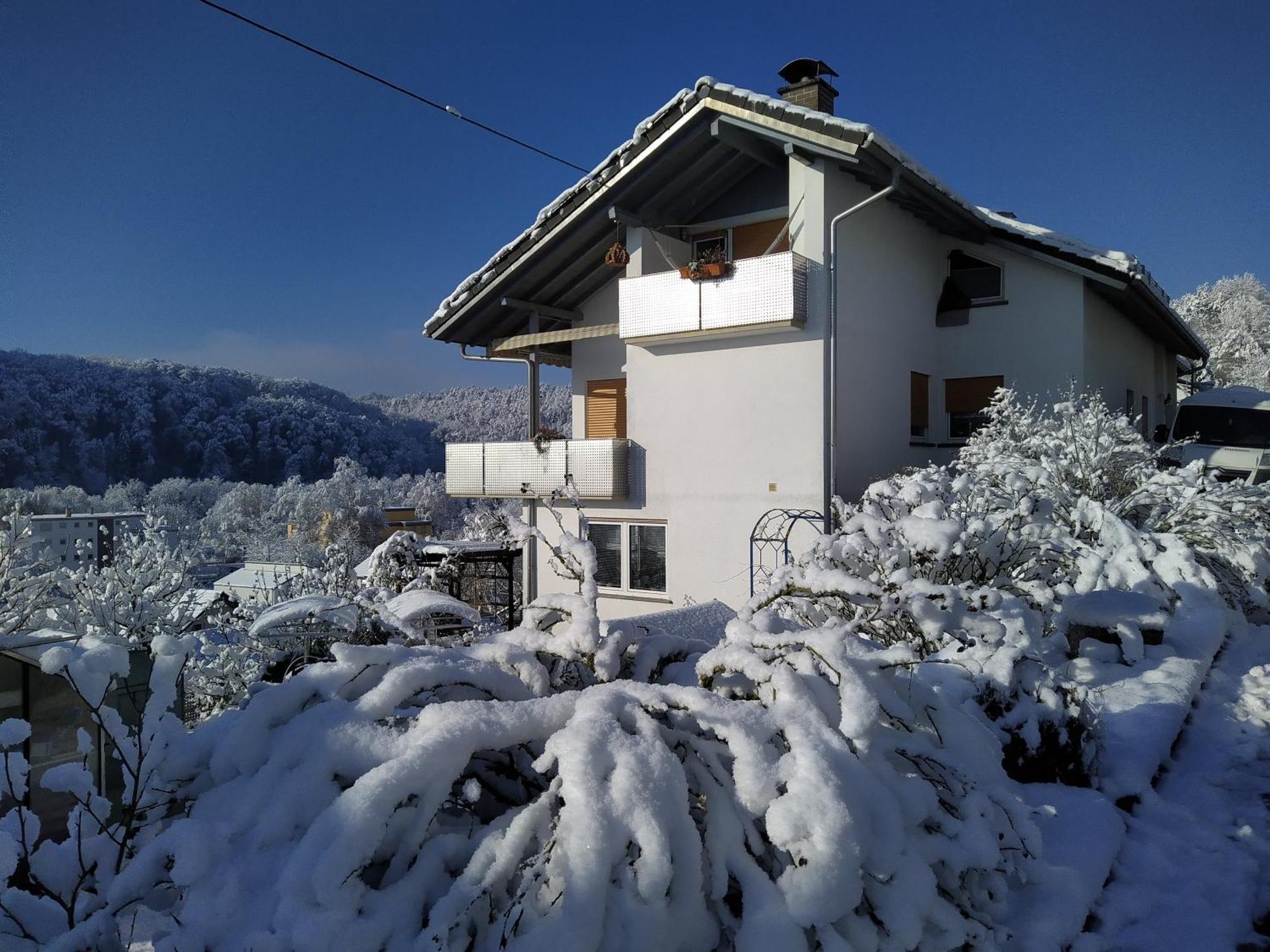 Wutoschingen Blick Ins Wutachtal 아파트 외부 사진