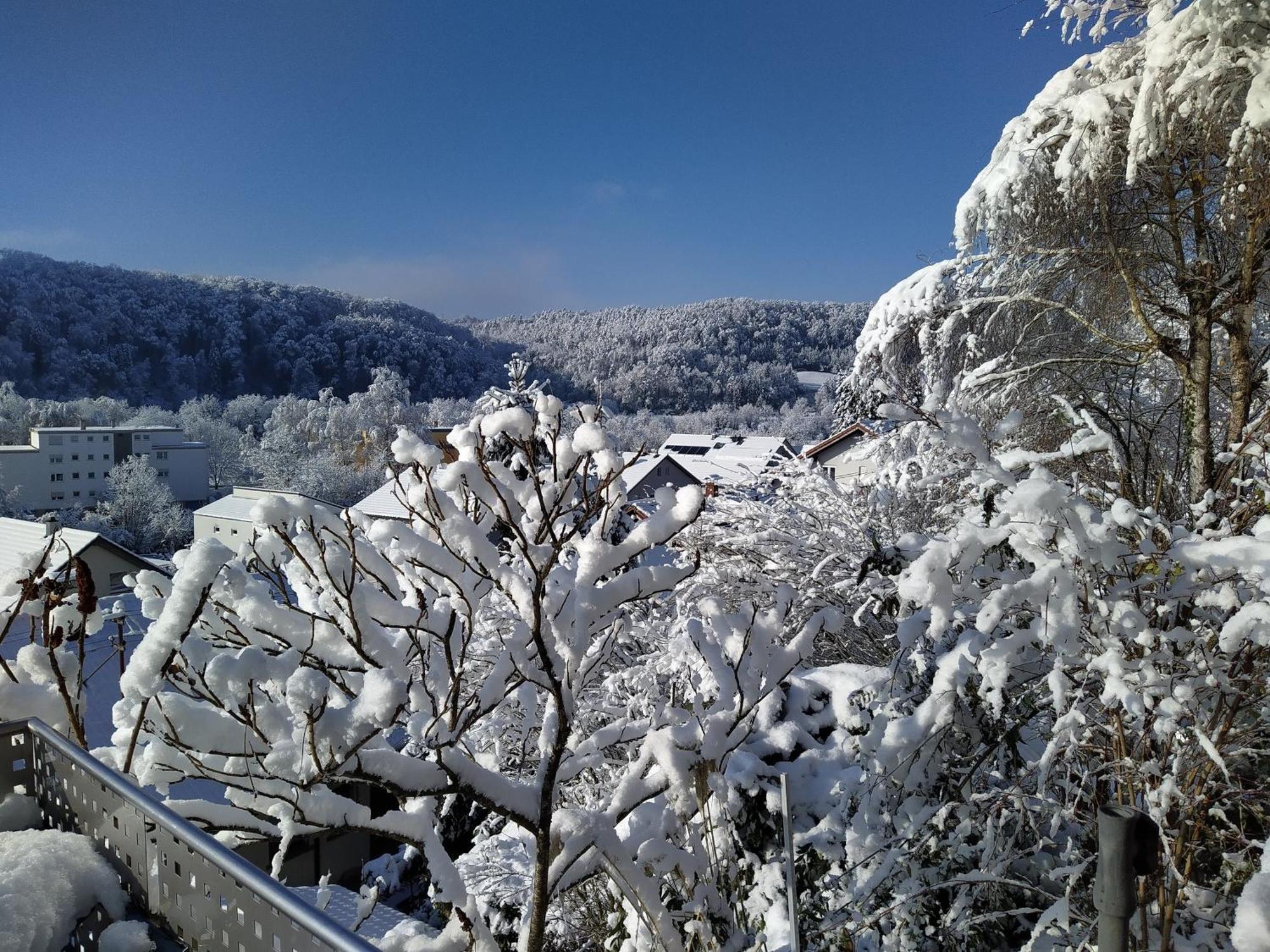 Wutoschingen Blick Ins Wutachtal 아파트 외부 사진